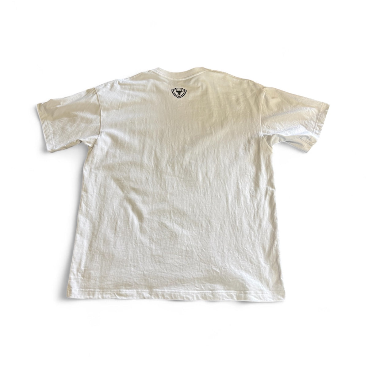 "Venom Green" Oversized T-Shirt